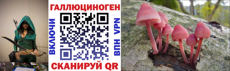 МЕГА   Яранск  Псилоцибиновые грибы Psilocybine cubensis 